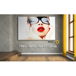PermaJet-Mercury-Matt-405-Canvas