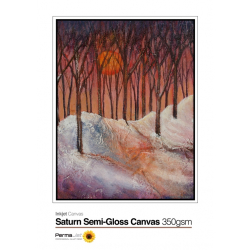PermaJet-Saturn-Semi-Gloss-350-Canvas