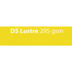 DS Lustre 295